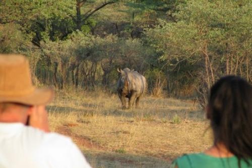 Rondreis Namibie - Het beste van Namibie dag 016